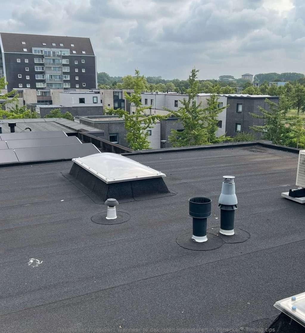 Dak Laten Inspecteren Pijnacker
