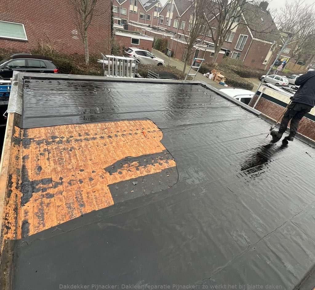 Dakleer Reparatie Pijnacker
