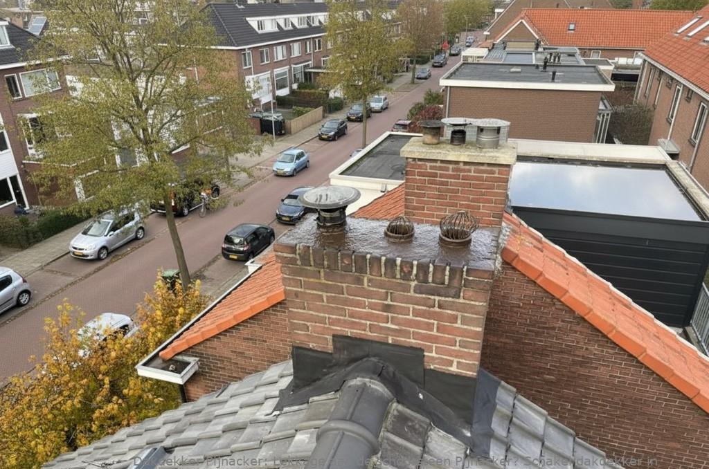 Lekkage Aan De Schoorsteen Pijnacker