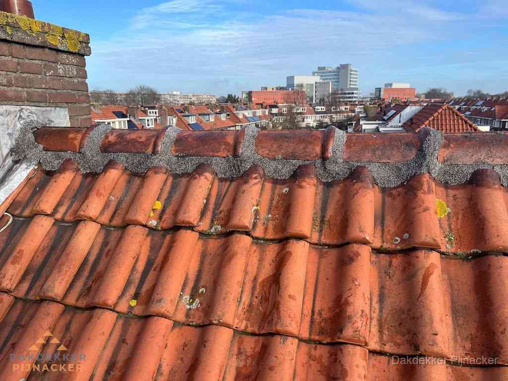 Pijnacker Daken Renoveren