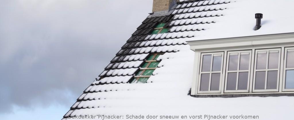 Schade Door Sneeuw En Vorst Pijnacker