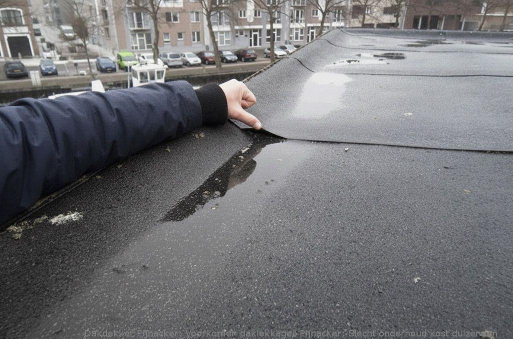 Voorkomen Daklekkages Pijnacker